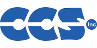 Custom Computer Services